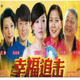 幸福追擊(2012年薛佳凝主演大陸電視劇) 幸福追擊(2012年薛佳凝主演大陸電視劇)