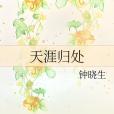 天涯歸處 天涯歸處