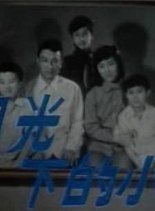 吳雲芳