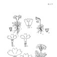 怒江報春 怒江報春