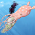 Proteroctopus Proteroctopus