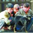 小飛虎隊 小飛虎隊
