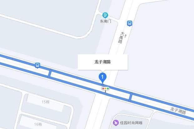 龍子湖路