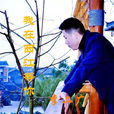 苗鄉 苗鄉