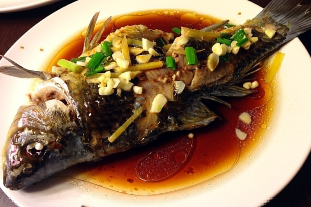 菜鳥清蒸魚 菜鳥清蒸魚