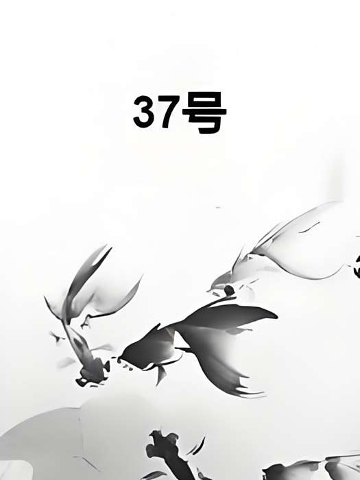 37號 37號