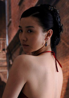 中國往事(2008年張黎執導電視劇)