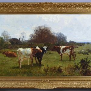 Charles Collins