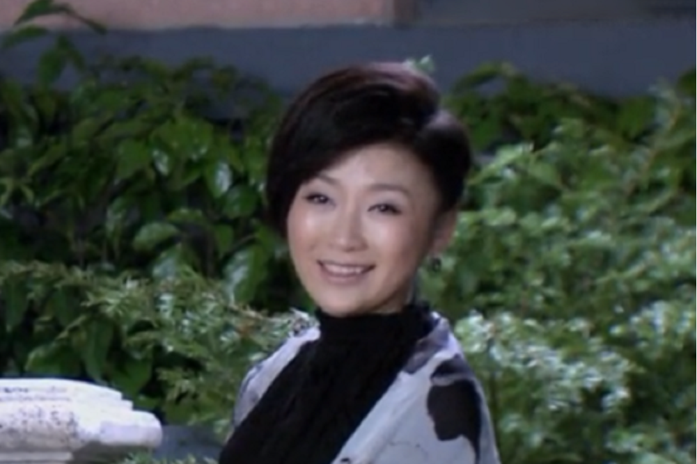 林芳(當代都市家庭劇《獨生子女的婆婆媽媽》中的角色) 林芳(當代都市家庭劇《獨生子女的婆婆媽媽》中的角色)