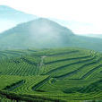 福泉山(寧波東錢湖福泉山) 福泉山(寧波東錢湖福泉山)