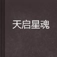 天啟星魂(異界大陸小說)