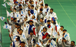 朝鮮韓國聯合代表團