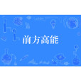 前方高能(網路流行語) 前方高能(網路流行語)