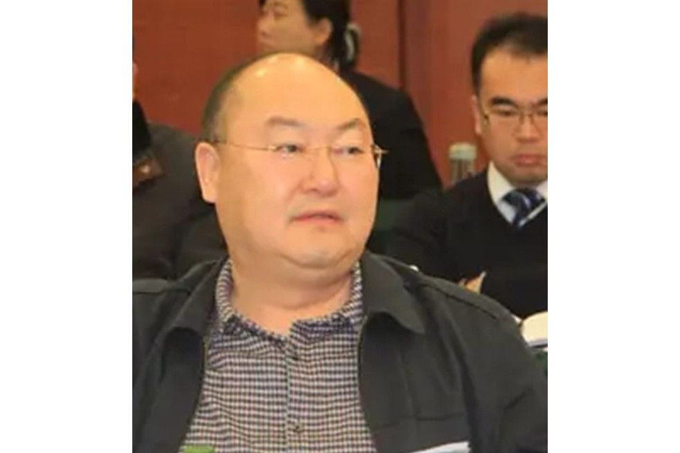 王克俊(第一拖拉機股份有限公司副總經理) 王克俊(第一拖拉機股份有限公司副總經理)