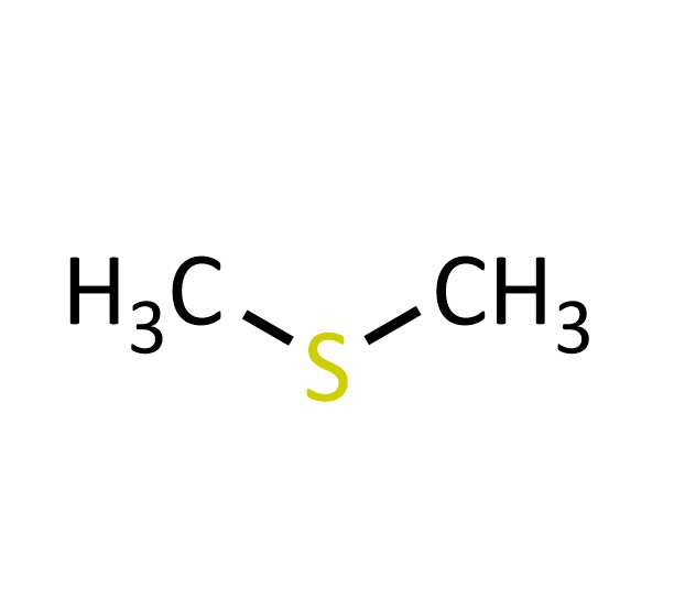 二甲硫醚(二甲基硫)