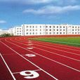 400米塑膠跑道 400米塑膠跑道