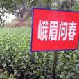 峨眉問春 峨眉問春