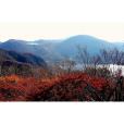 赤城山(四川蓬溪縣山脈) 赤城山(四川蓬溪縣山脈)