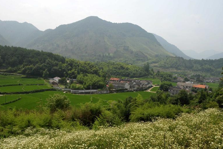 樊溝村 樊溝村