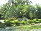 興隆熱帶植物園