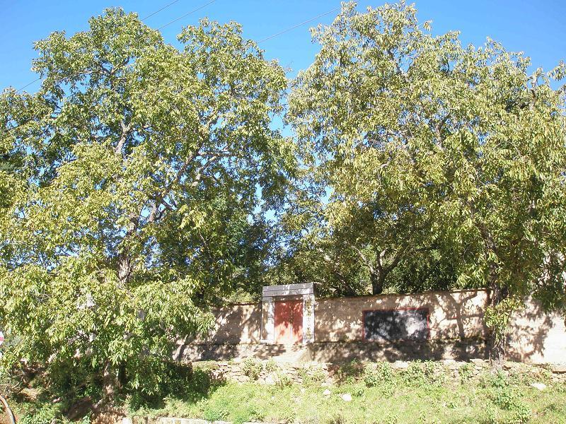 團碑村(雲南省楚雄彝族自治州楚雄市下轄村) 團碑村(雲南省楚雄彝族自治州楚雄市下轄村)