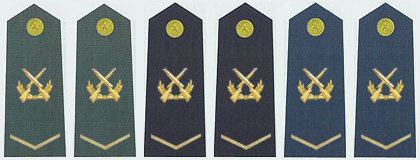 陸海空軍一級士官肩章(2007—2009)