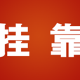 掛靠