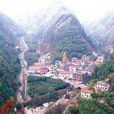 天英村 天英村