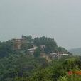 哈龍村(雲南紅河縣迤薩鎮下轄村) 哈龍村(雲南紅河縣迤薩鎮下轄村)