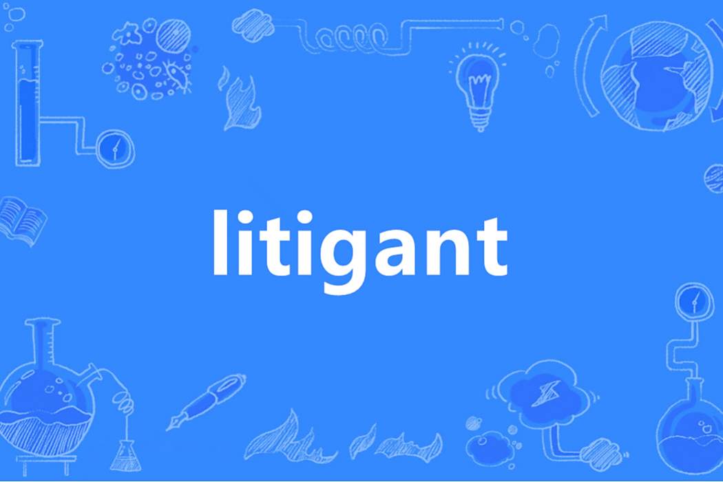 litigant litigant