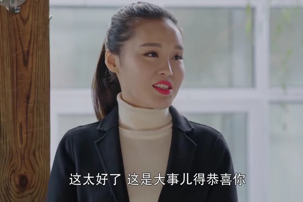 張秘書(《鄉村愛情》系列劇中的虛擬角色) 張秘書(《鄉村愛情》系列劇中的虛擬角色)