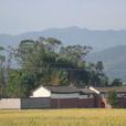 馬家灣村(雲南省玉溪市通海縣楊廣鎮馬家灣村) 馬家灣村(雲南省玉溪市通海縣楊廣鎮馬家灣村)