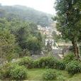 全福莊村(山東省濟南市濟陽縣垛石鎮下轄村) 全福莊村(山東省濟南市濟陽縣垛石鎮下轄村)