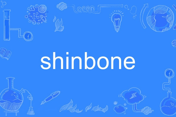shinbone shinbone