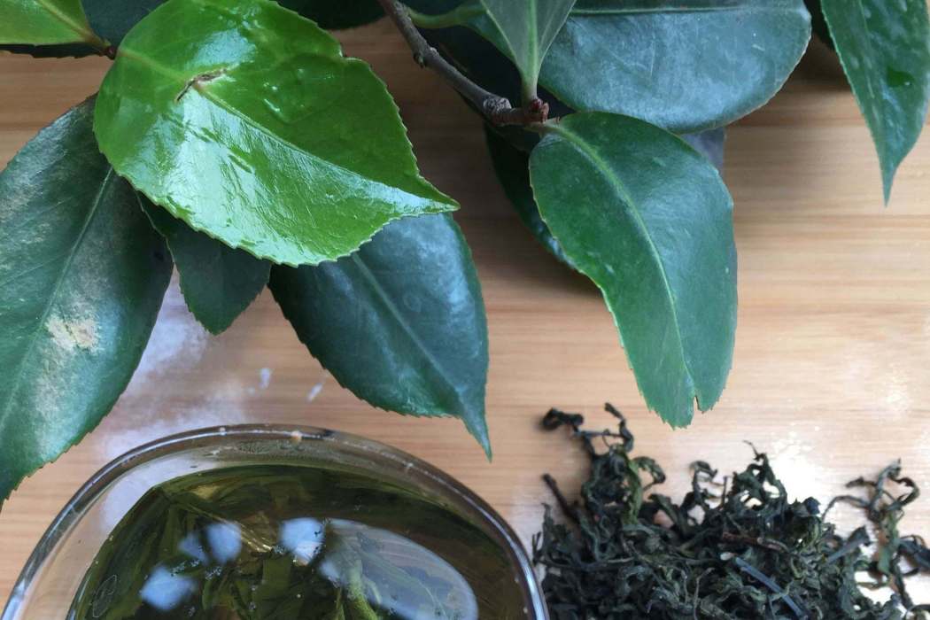 杜仲葉茶