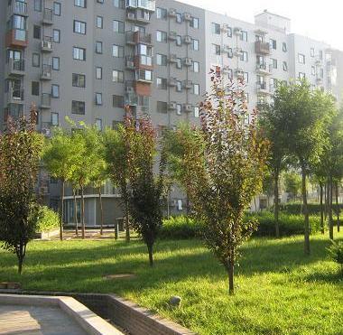 中原新村(西安市中原新村小區) 中原新村(西安市中原新村小區)