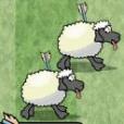 扎綿羊