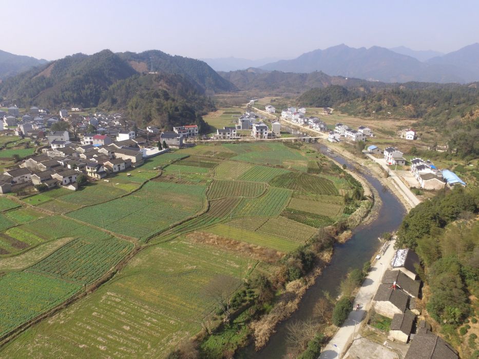 倫坑村 倫坑村