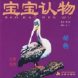 寶寶認物 寶寶認物