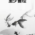 至少曾經 至少曾經
