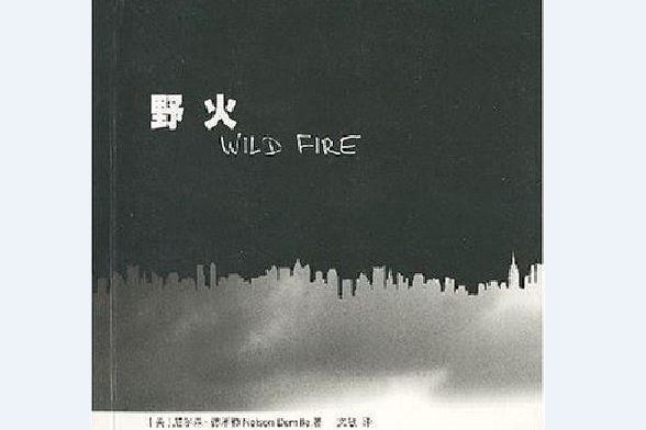 野火(2008年人民文學出版社出版的圖書) 野火(2008年人民文學出版社出版的圖書)
