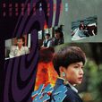藍色風暴(1991年羅嘉良主演TVB電視劇)
