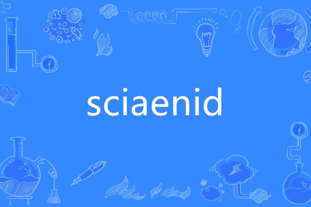 sciaenid sciaenid