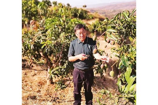 胡洪超(攀枝花市鴻鵠農業開發有限責任公司董事長) 胡洪超(攀枝花市鴻鵠農業開發有限責任公司董事長)