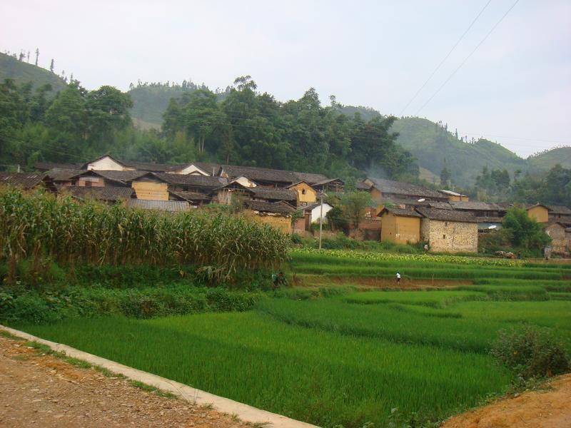 膩坡自然村 膩坡自然村