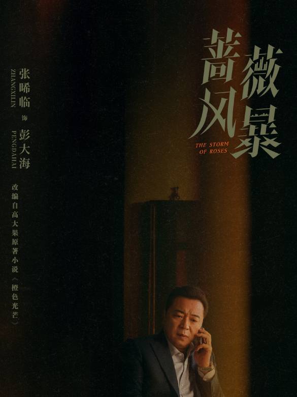 薔薇風暴(2024年惠楷棟執導的職場劇)