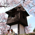 高遠城 高遠城