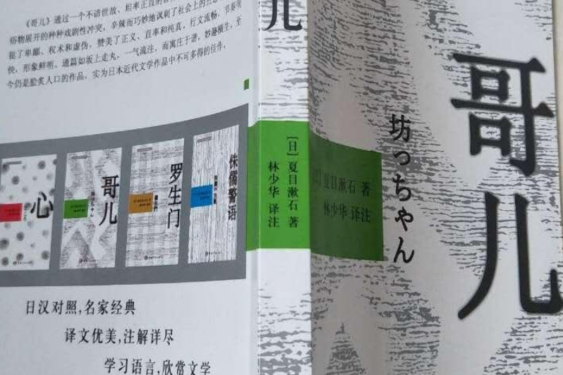 哥兒(2008年中國宇航出版社出版的圖書) 哥兒(2008年中國宇航出版社出版的圖書)