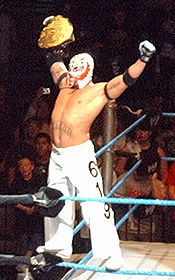 Rey Mysterio第一次奪得WWE世界重量級冠軍