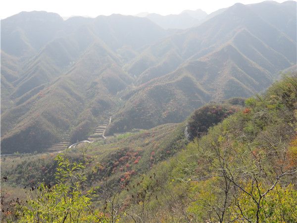 吳家垴村 吳家垴村